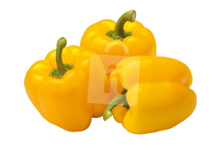 Paprika žltá