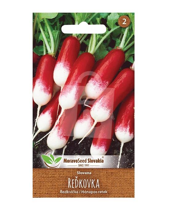 Semená reďkovka červenobiela, podlhovastá na rýchlenie a pole Slovana 5g MoravoSeed Slovakia